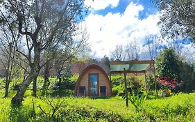 Quinta das Cegonhas